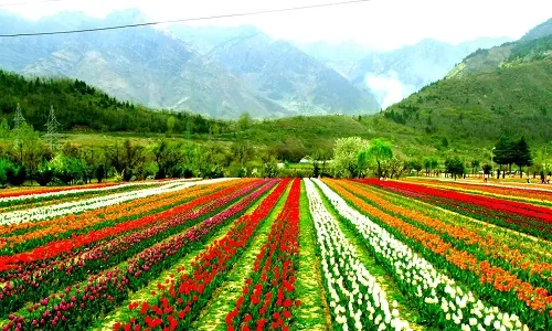 DAY 01 ARRIVE SRINAGAR | SRINAGAR LOCAL SIGHTSEEING