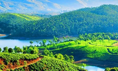 1st Day: Arrival in Kochi – Transfer to Munnar