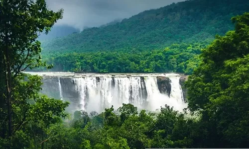 2nd Day: Munnar Sightseeing