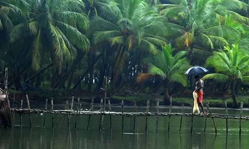 3rd Day: Munnar to Thekkady