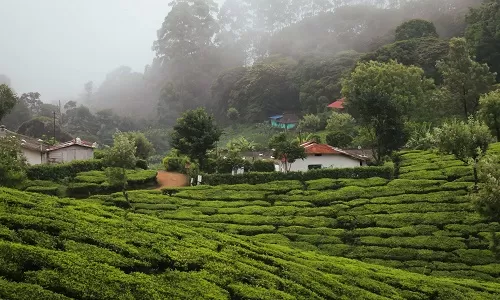 Day 1: Arrival in Cochin