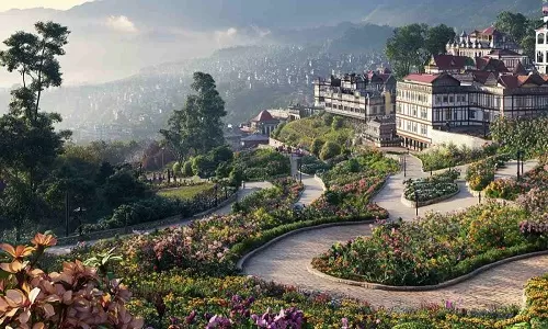 Darjeeling Tea Estates